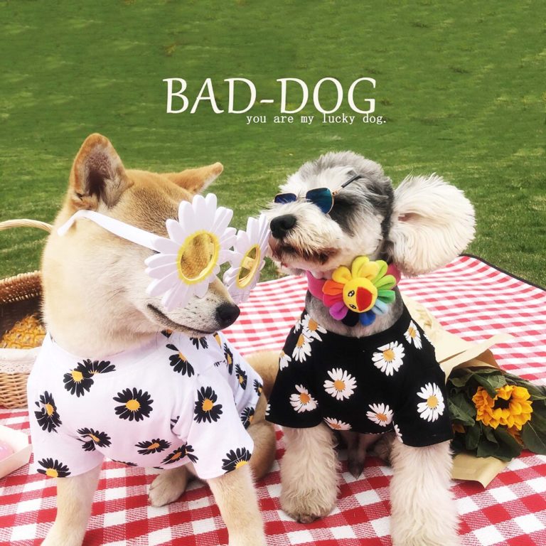 Hunde Kleidung für Hunde Tshirt