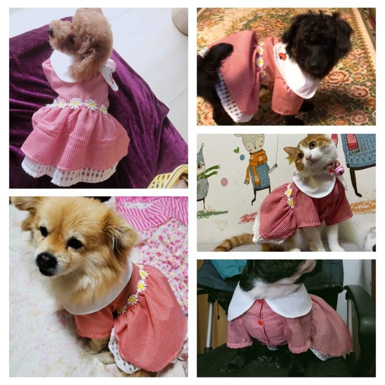 Sommer Kleid für Hunde für kleine Hunde Weißer Kragen